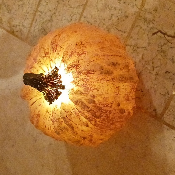 Harvest Pumpkin & Gourd set,illuminating On A Timer,/Valeri/Qvc,made Of Wax - Picture 13 of 13